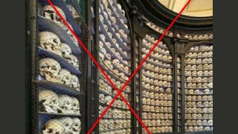 وكالة تظهر حقيقة صورة “جماجم المقاتلين الجزائريين في فرنسا” وكالة تظهر حقيقة صورة “جماجم المقاتلين الجزائريين في فرنسا”
